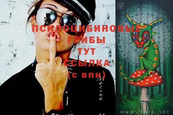 spice Аркадак
