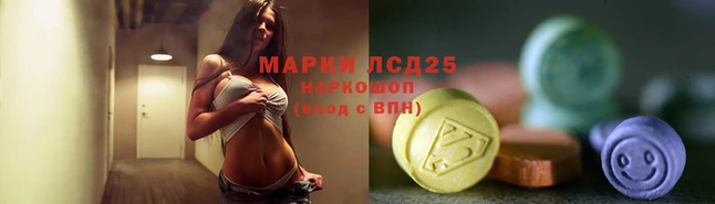 spice Аркадак