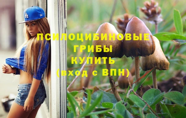 таблы Арсеньев