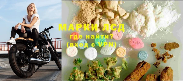 spice Аркадак